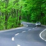 Road in a green forest