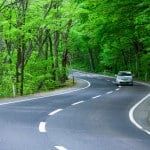 Road in a green forest