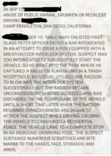 report of raccoon and interlock