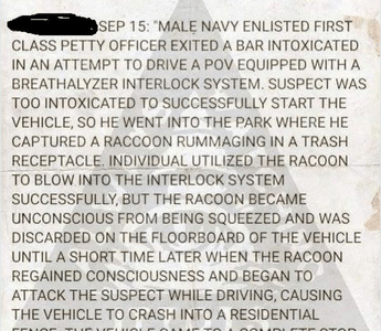 crazy-dui-racoon-ignition-interlock