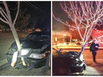 drunk driver drives with tree in grill of car