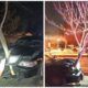 drunk driver drives with tree in grill of car