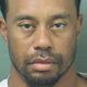 stopped for dui tiger woods