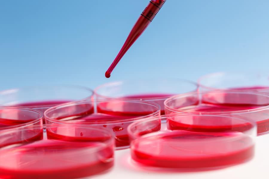 A Millionaire’s Blood Feud with Florida Court Ends in Defeat